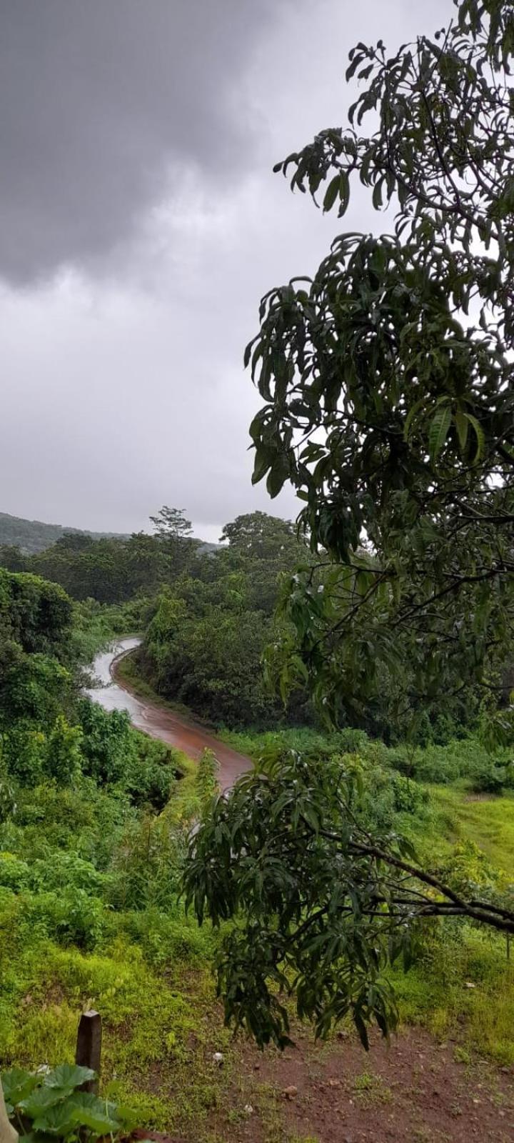 Om Gajanan Farms Nerur (Maharashtra)