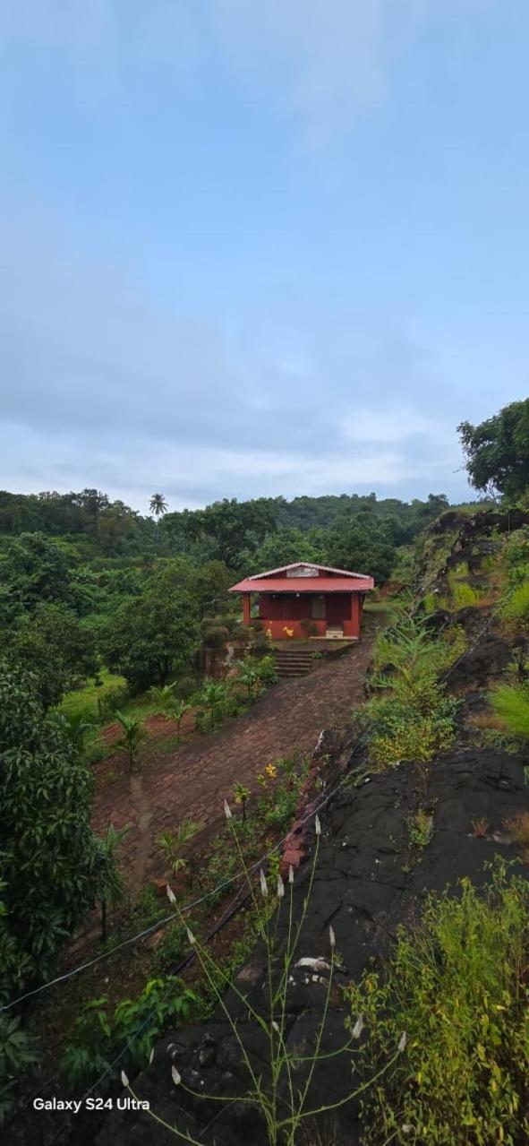 Om Gajanan Farms * Nerur (Maharashtra)